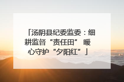 汤阴县纪委监委：细耕监督“责任田” 暖心守护“夕阳红”