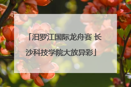 汨罗江国际龙舟赛 长沙科技学院大放异彩