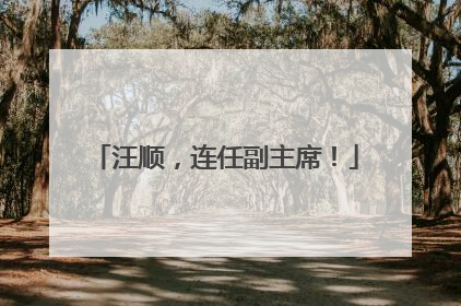 汪顺，连任副主席！