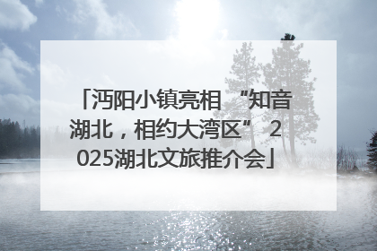沔阳小镇亮相 “知音湖北，相约大湾区” 2025湖北文旅推介会