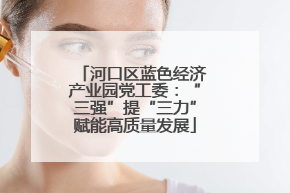 河口区蓝色经济产业园党工委：“三强”提“三力”赋能高质量发展