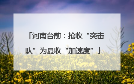 河南台前：抢收“突击队”为夏收“加速度”