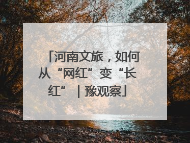 河南文旅，如何从“网红”变“长红”｜豫观察