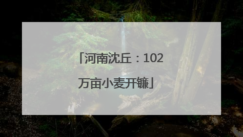 河南沈丘：102 万亩小麦开镰