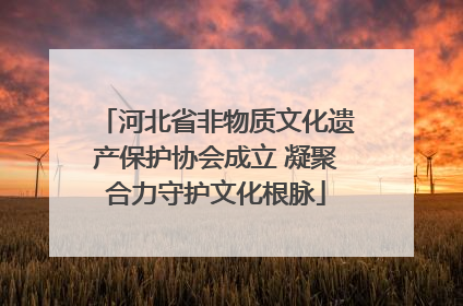 河北省非物质文化遗产保护协会成立 凝聚合力守护文化根脉