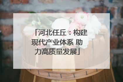 河北任丘：构建现代产业体系 助力高质量发展