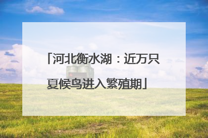 河北衡水湖：近万只夏候鸟进入繁殖期