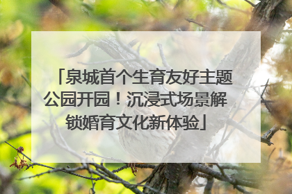 泉城首个生育友好主题公园开园！沉浸式场景解锁婚育文化新体验