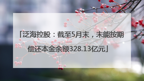 泛海控股：截至5月末，未能按期偿还本金余额328.13亿元