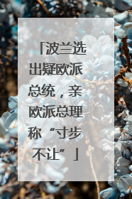 波兰选出疑欧派总统，亲欧派总理称“寸步不让”