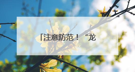 注意防范！“龙舟水”发威，厦门今日雨势仍劲