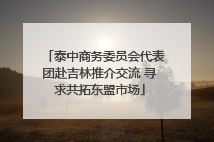 泰中商务委员会代表团赴吉林推介交流 寻求共拓东盟市场