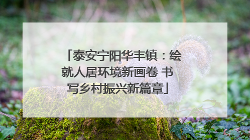 泰安宁阳华丰镇：绘就人居环境新画卷 书写乡村振兴新篇章