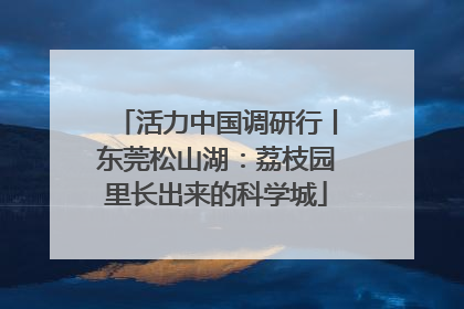 活力中国调研行丨东莞松山湖：荔枝园里长出来的科学城