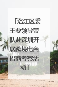 洛江区委主要领导带队赴深圳开展跨境电商招商考察活动