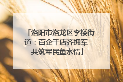 洛阳市洛龙区李楼街道：百企千店齐拥军 共筑军民鱼水情