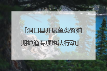 洞口县开展鱼类繁殖期护渔专项执法行动