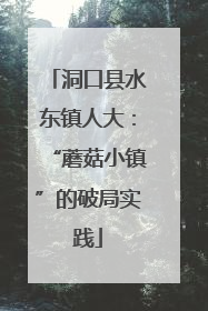 洞口县水东镇人大：“蘑菇小镇”的破局实践