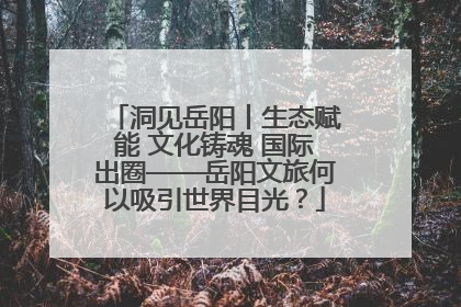 洞见岳阳丨生态赋能 文化铸魂 国际出圈——岳阳文旅何以吸引世界目光？