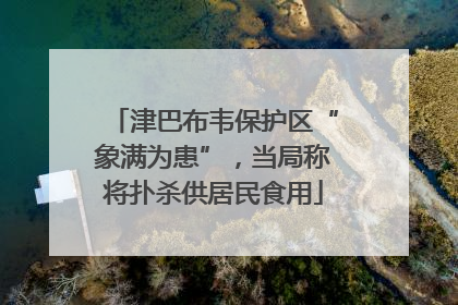 津巴布韦保护区“象满为患”，当局称将扑杀供居民食用