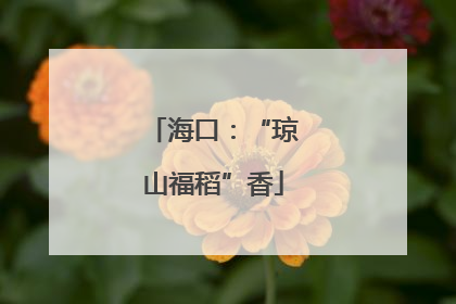 海口：“琼山福稻”香