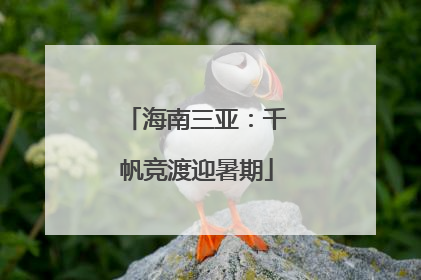 海南三亚：千帆竞渡迎暑期