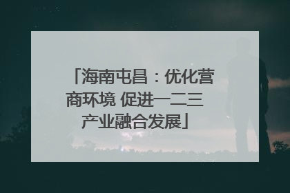 海南屯昌：优化营商环境 促进一二三产业融合发展