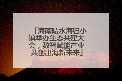 海南陵水海归小镇举办生态共建大会，数智赋能产业共创出海新未来