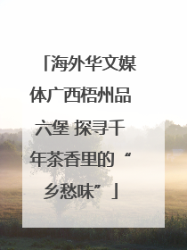 海外华文媒体广西梧州品六堡 探寻千年茶香里的“乡愁味”