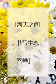 海天之间，书写生态答卷