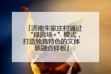 济南朱家庄村通过“绿茵场+”模式，打造独具特色的文体旅融合样板