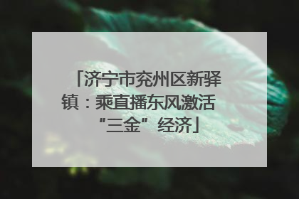 济宁市兖州区新驿镇：乘直播东风激活“三金”经济