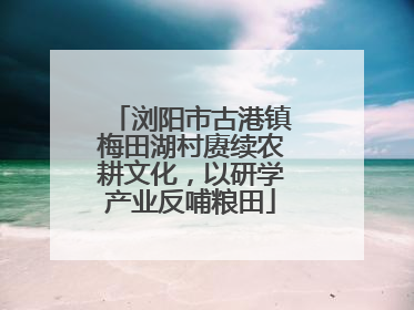 浏阳市古港镇梅田湖村赓续农耕文化，以研学产业反哺粮田