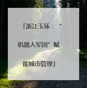 浙江玉环：“机器人军团”赋能城市管理