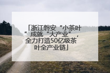 浙江磐安“小茶叶”成就“大产业”，全力打造50亿级茶叶全产业链