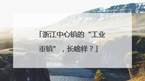浙江中心镇的“工业重镇”，长啥样？