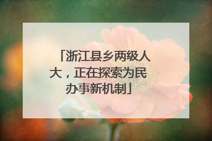 浙江县乡两级人大，正在探索为民办事新机制