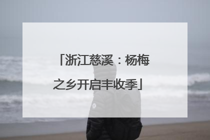 浙江慈溪：杨梅之乡开启丰收季