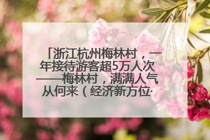 浙江杭州梅林村，一年接待游客超5万人次——梅林村，满满人气从何来（经济新方位·农村消费观察）