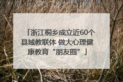 浙江桐乡成立近60个县域教联体 做大心理健康教育“朋友圈”