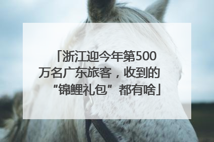 浙江迎今年第500万名广东旅客，收到的“锦鲤礼包”都有啥
