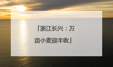 浙江长兴：万亩小麦迎丰收