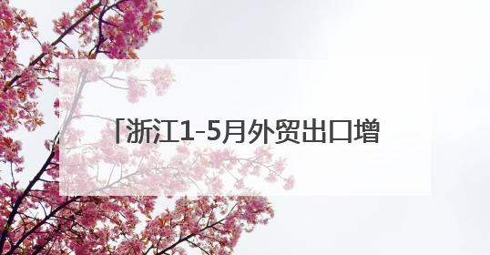浙江1-5月外贸出口增长6.5%，领跑全国