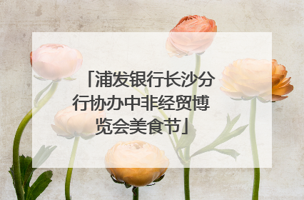 浦发银行长沙分行协办中非经贸博览会美食节