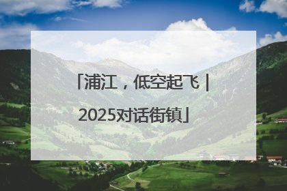浦江，低空起飞｜2025对话街镇
