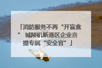 消防服务不再“开盲盒” 城陵矶新港区企业喜提专属“安全官”