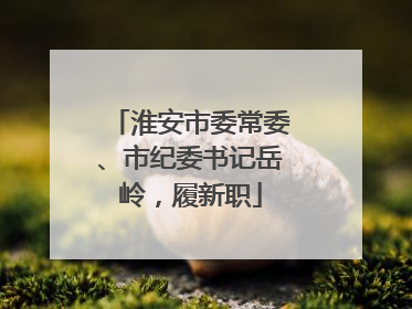 淮安市委常委、市纪委书记岳岭，履新职