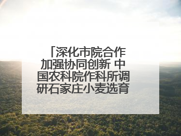 深化市院合作 加强协同创新 中国农科院作科所调研石家庄小麦选育种等工作