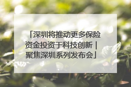 深圳将推动更多保险资金投资于科技创新｜聚焦深圳系列发布会