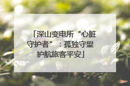 深山变电所“心脏守护者”：孤独守望护航旅客平安